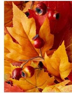 Balsam Hill Harvest Maple Foliage Discount