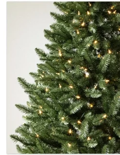 Balsam Hill Idaho Fir