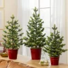 Balsam Hill Lit Countryside Tabletop Tree Sets Sale