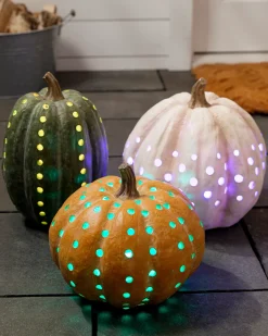 Balsam Hill Lit Cut-Out Pumpkins Online