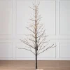 Balsam Hill Lit Snowy Branch LED Trees Online