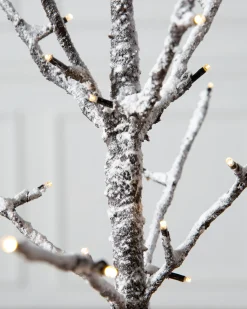 Balsam Hill Lit Snowy Branch LED Trees Online