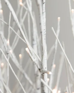 Balsam Hill Lit Snowy Branch LED Tree Grove Sale