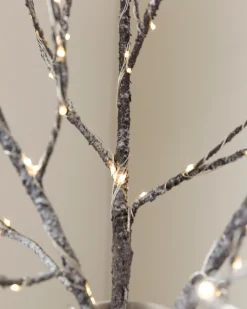 Balsam Hill Lit Twig Branches