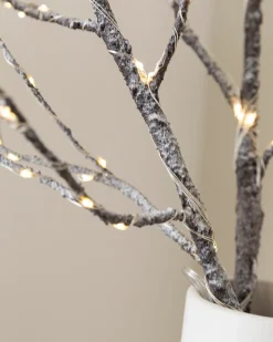 Balsam Hill Lit Twig Branches