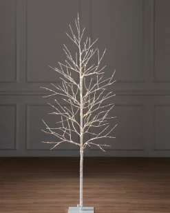 Balsam Hill Lit Winter Birch LED Trees Best