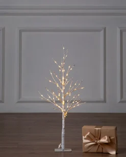 Balsam Hill Lit Winter Birch LED Trees Best