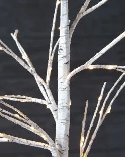 Balsam Hill Lit Winter Birch LED Trees Best