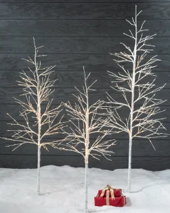 Balsam Hill Lit Winter Birch LED Trees Best