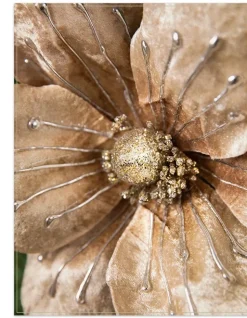 Balsam Hill Magnolia Christmas Tree Picks Best