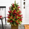 Balsam Hill Outdoor Berry Burst Foliage New