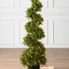 Balsam Hill Outdoor Boxwood Artificial Christmas Topiaries Clearance