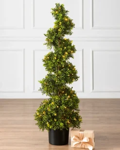 Balsam Hill Outdoor Boxwood Artificial Christmas Topiaries Clearance