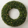 Balsam Hill Outdoor Boxwood Foliage Outlet