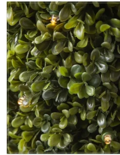 Balsam Hill Outdoor Boxwood Foliage Outlet