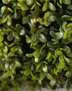 Balsam Hill Outdoor Boxwood Foliage Outlet