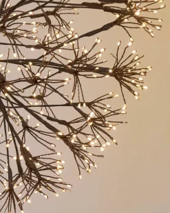 Balsam Hill Outdoor Cluster Fairy Starburst Lights Online