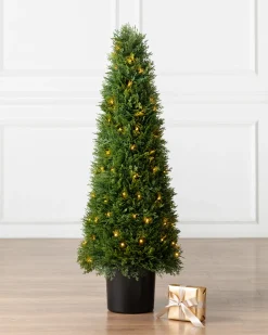 Balsam Hill Outdoor Cypress Artificial Christmas Topiaries Outlet