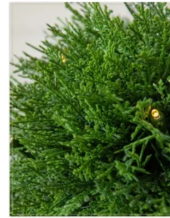 Balsam Hill Outdoor Cypress Artificial Christmas Topiaries Outlet