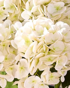 Balsam Hill Outdoor Hydrangea Harmony Foliage Clearance