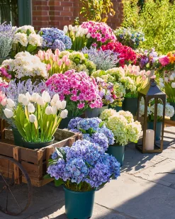 Balsam Hill Outdoor Hydrangea Harmony Foliage Clearance