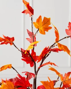 Balsam Hill Outdoor LED Lit Autumn Maple Trees Sale