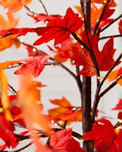 Balsam Hill Outdoor LED Lit Autumn Maple Trees Sale