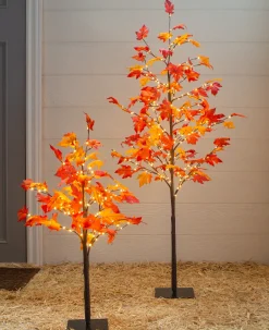Balsam Hill Outdoor LED Lit Autumn Maple Trees Sale