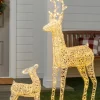 Balsam Hill Outdoor Lit LED Wintry Wonder Friends Online