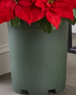 Balsam Hill Outdoor Lit Poinsettia Celebration Foliage Discount