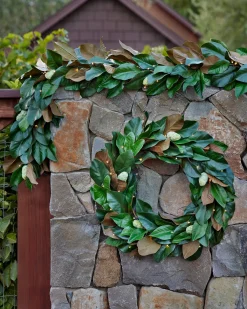 Balsam Hill Outdoor Magnolia Leaves Foliage Hot