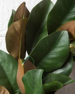 Balsam Hill Outdoor Magnolia Leaves Foliage Hot