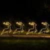 Balsam Hill Outdoor North Pole Express Pathway Light Sets Online