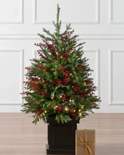 Balsam Hill Outdoor Red Berry Evergreen Potted Trees New