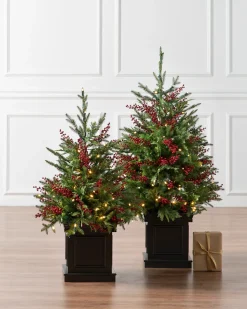 Balsam Hill Outdoor Red Berry Evergreen Potted Trees New