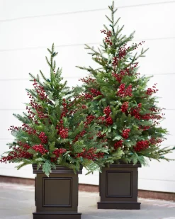 Balsam Hill Outdoor Red Berry Evergreen Potted Trees New