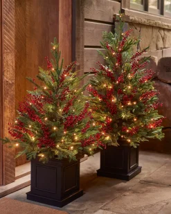 Balsam Hill Outdoor Red Berry Evergreen Potted Trees New