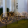 Balsam Hill Outdoor Starburst Pathway Light Set