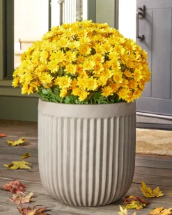 Balsam Hill Outdoor Sunset Mums Foliage New
