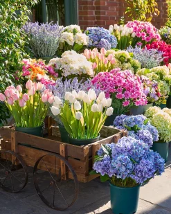 Balsam Hill Outdoor Tulip Garden Foliage Sale
