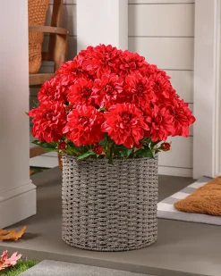 Balsam Hill Outdoor Vibrant Dahlias Foliage Clearance