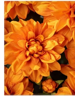 Balsam Hill Outdoor Vibrant Dahlias Foliage Clearance