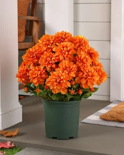 Balsam Hill Outdoor Vibrant Dahlias Foliage Clearance