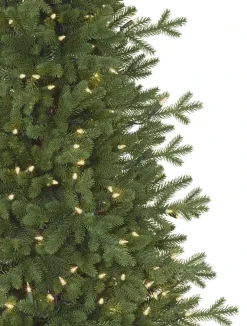 Balsam Hill Red Spruce Trees Clearance