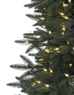 Balsam Hill Revelstoke Fir® Trees Discount