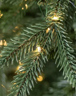 Balsam Hill Revelstoke Fir® Trees Discount