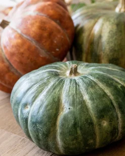 Balsam Hill Rustic Heirloom Pumpkins Best