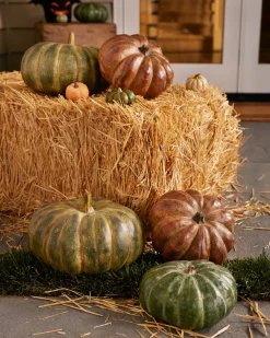 Balsam Hill Rustic Heirloom Pumpkins Best