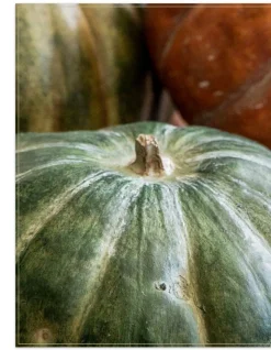 Balsam Hill Rustic Heirloom Pumpkins Best