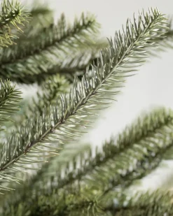 Balsam Hill Sanibel Spruce Trees